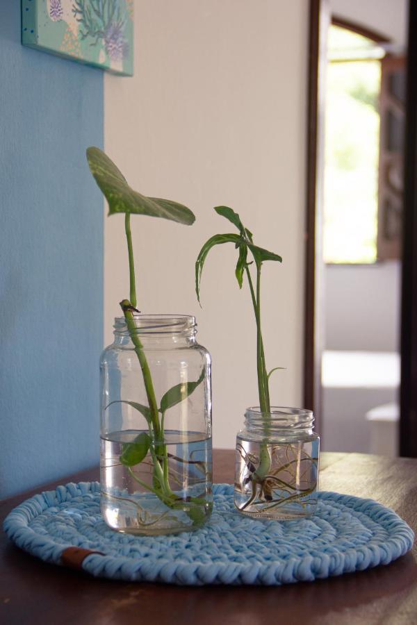 Mar Da Liberdade Apartment มอร์โฮเจอเซาเปาลู ภายนอก รูปภาพ